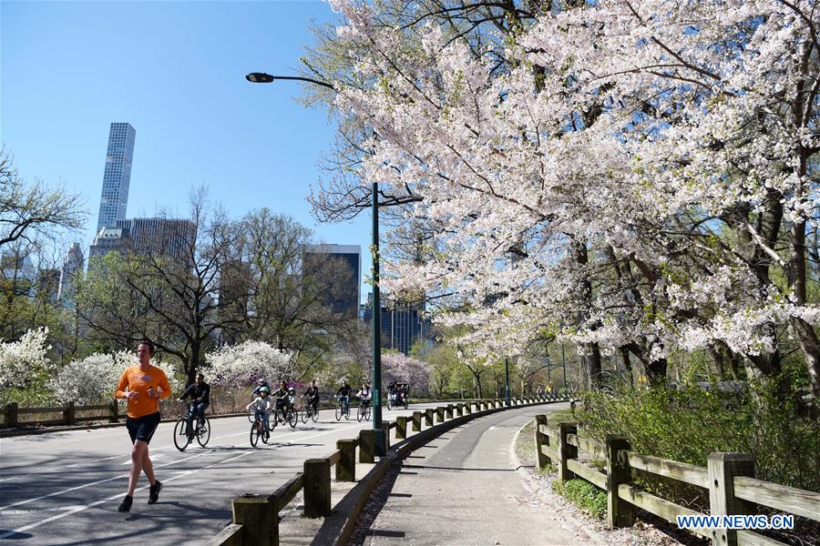  U.S.-NEW YORK-SPRING-SCENERY