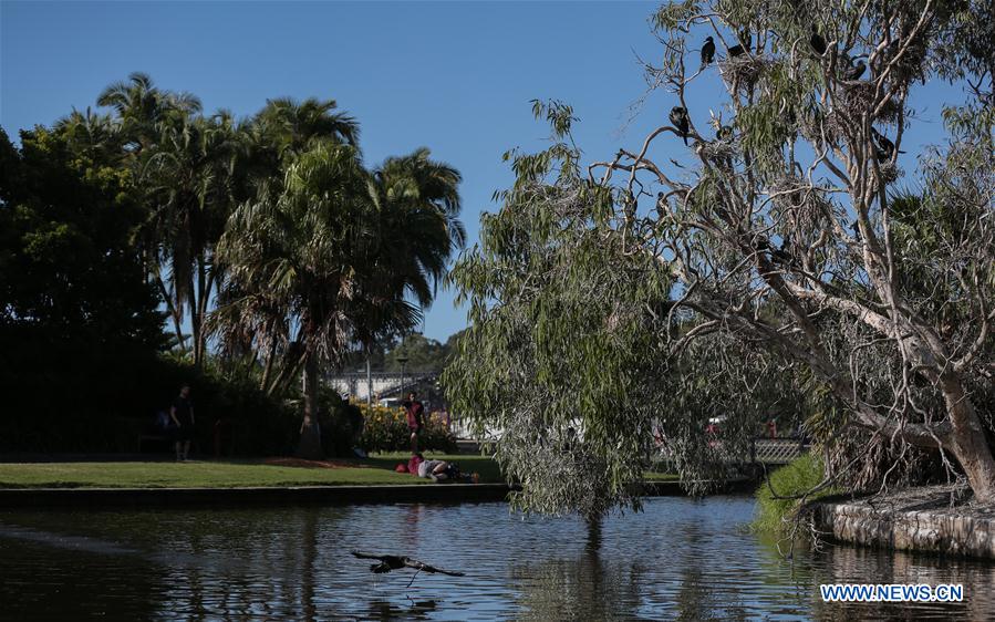 AUSTRALIA-SYDNEY-ROYAL BOTANIC GARDEN