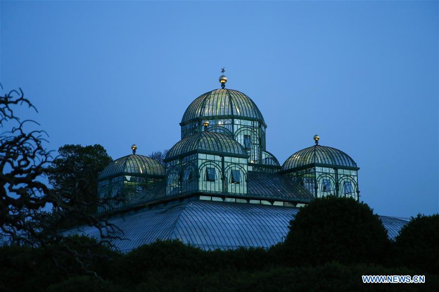 BELGIUM-BRUSSELS-ROYAL GREENHOUSES