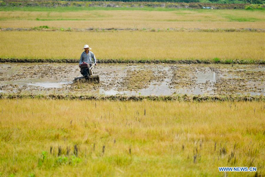 #CHINA-LABOR DAY HOLIDAY-FARMING (CN)