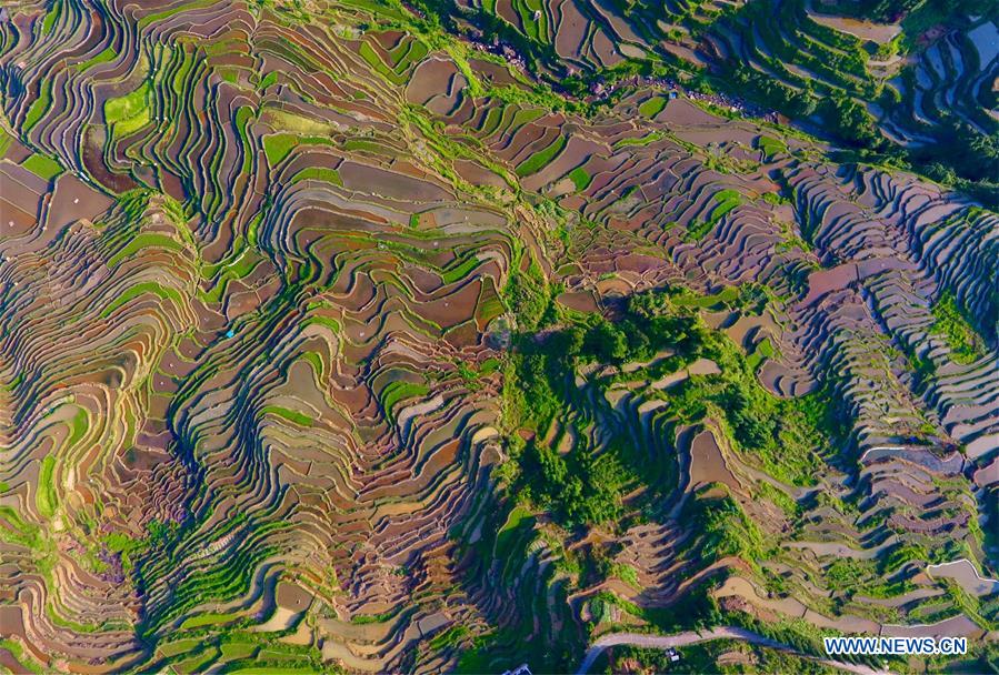 CHINA-GUANGXI-RONGSHUI-TERRACED FIELDS (CN)