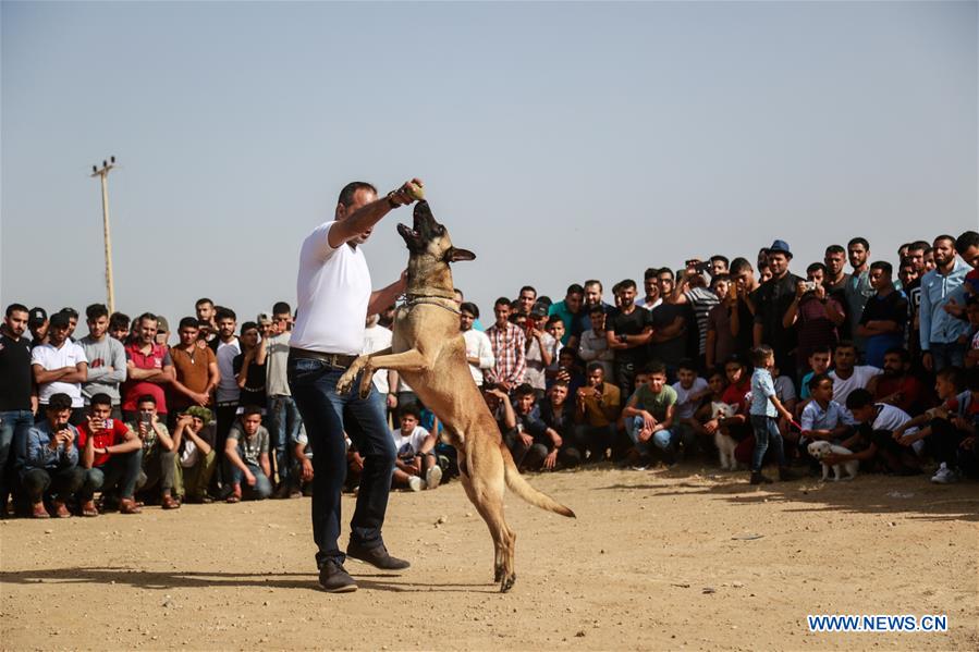 MIDEAST-GAZA-DOG SHOW