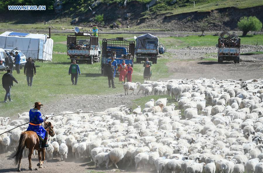 CHINA-INNER MONGOLIA-HERDSMEN-MIGRATION (CN)