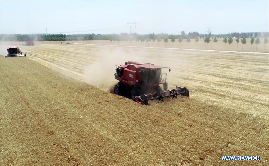 CHINA-HEBEI-NANHE-WHEAT-HARVEST (CN)