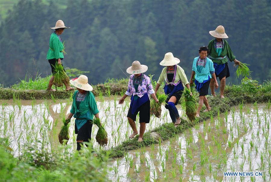 CHINA-GUANGXI-RONGSHUI-POVERTY ALLEVIATION (CN)