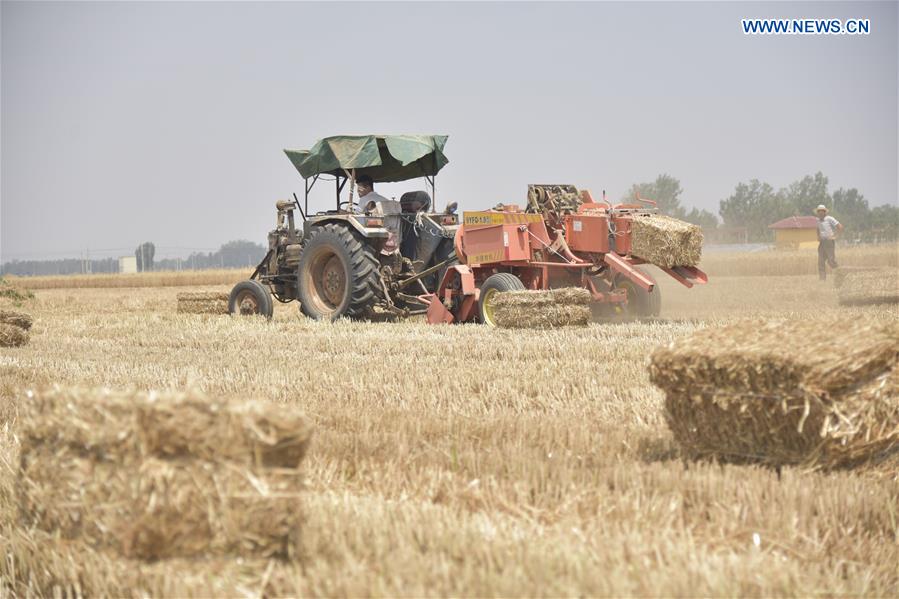 #CHINA-WHEAT STRAW-RECYCLING (CN)