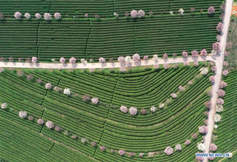 (EcoChina)CHINA-BEIJING-HORTICULTURAL EXPO-JIANGXI (CN)