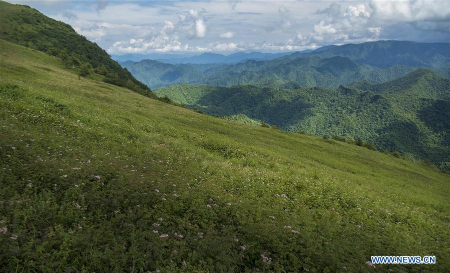 CHINA-SHAANXI-HANZHONG-ZIBAI MOUNTAIN-SCENERY (CN)