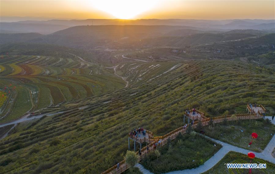 CHINA-NINGXIA-TERRACED FIELD (CN)