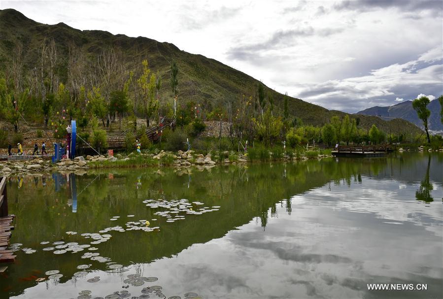 CHINA-TIBET-LHASA-SUMMER SCENERY (CN)