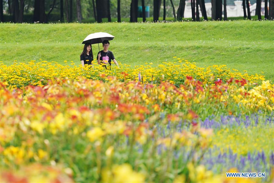 CHINA-HEILONGJIANG-HARBIN-SUN ISLAND-SCENERY (CN)