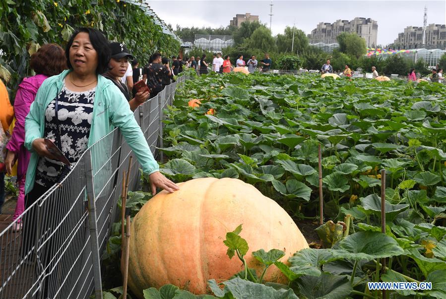 CHINA-JILIN-CHANGCHUN-AGRICULTURE EXPO (CN)