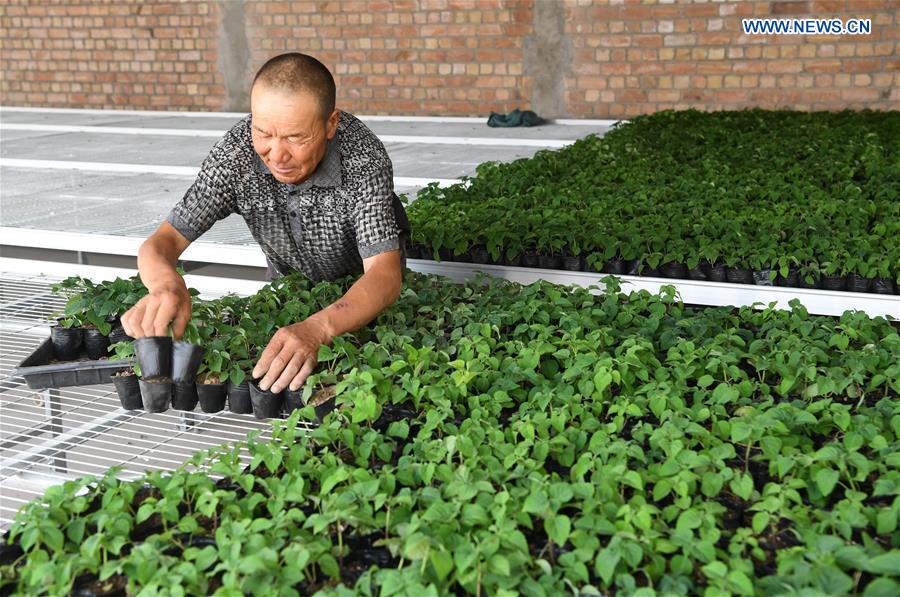 CHINA-GANSU-ECO AGRICULTURE(CN)