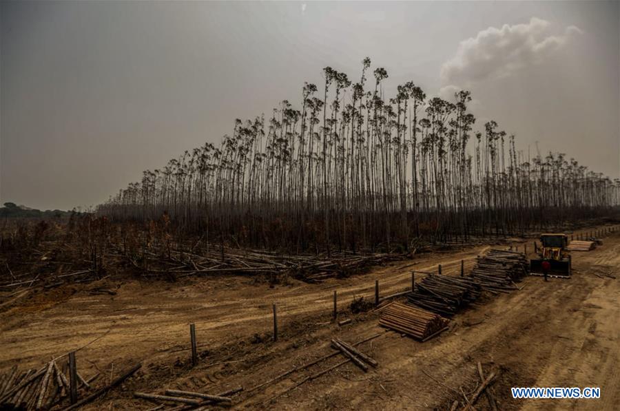 BRAZIL-HUMAITA-AMAZON-FIRE