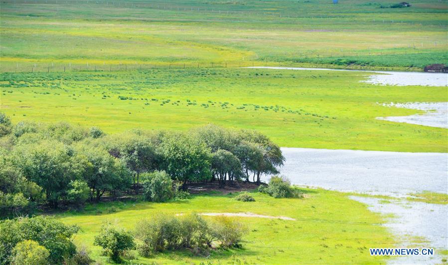 CHINA-INNER MONGOLIA-HULUNBUIR-AERIAL VIEW (CN)