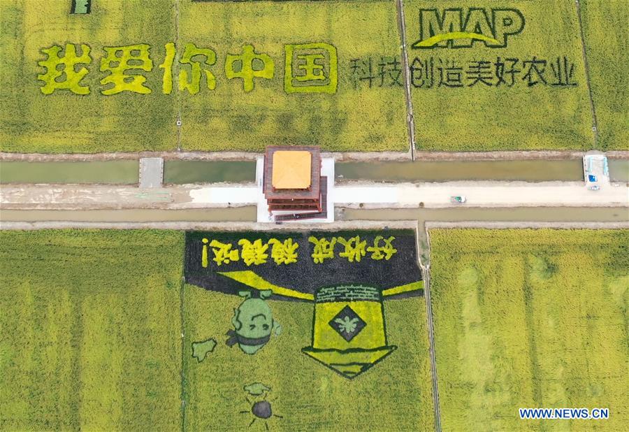 CHINA-HARVEST-AERIAL VIEW (CN)