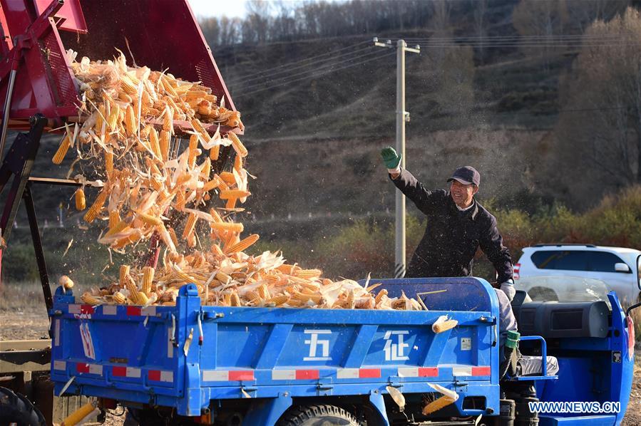 CHINA-INNER MONGOLIA-HARVEST (CN)