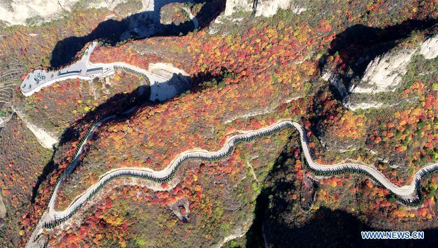 CHINA-HEBEI-PINGSHAN COUNTY-AUTUMN SCENERY-RED LEAF (CN)