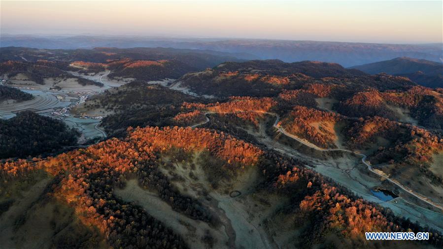 CHINA-SHAANXI-AUTUMN-PASTURE-SCENERY (CN)