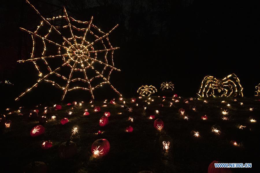 U.S.-NEW YORK-PUMPKIN-LANTERN