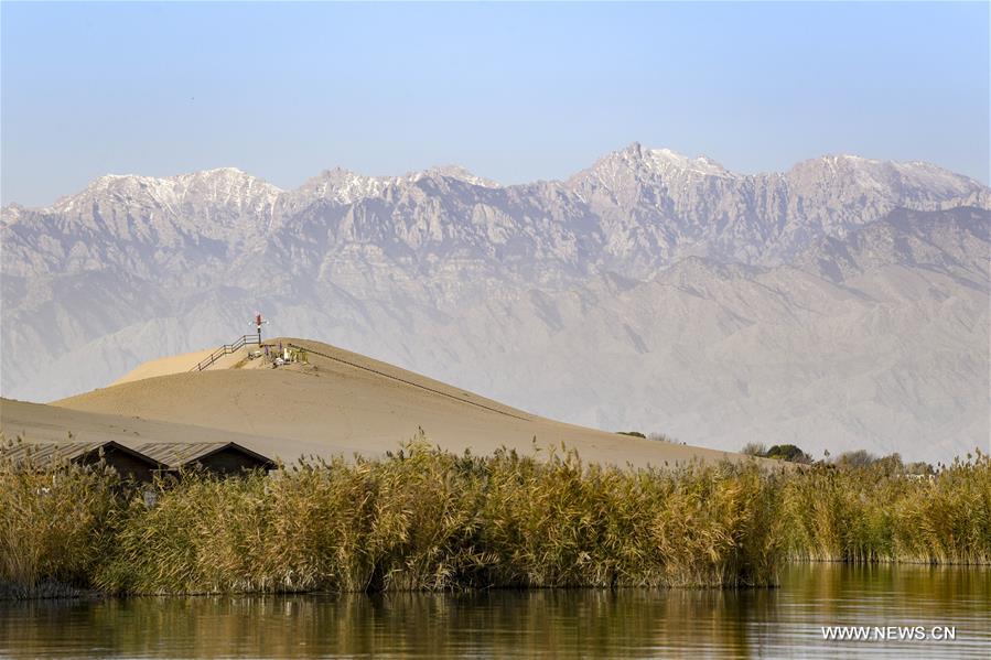 CHINA-NINGXIA-SHAHU LAKE-SCENERY (CN)