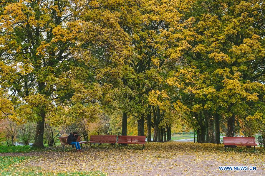 NORWAY-AUTUMN-SCENERY