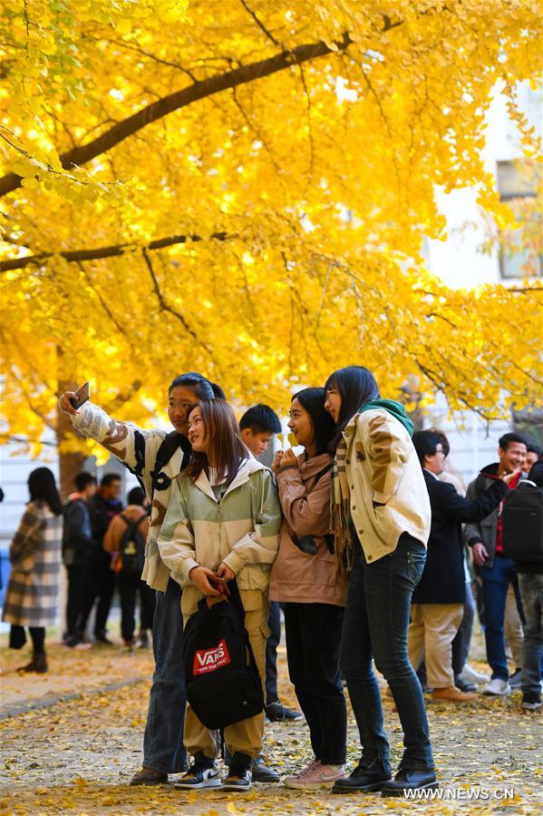 CHINA-BEIJING-UNIVERSITY OF SCIENCE AND TECHNOLOGY BEIJING-AUTUMN SCENERY (CN)