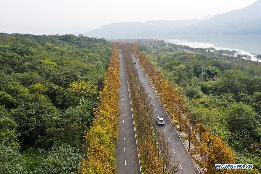 CHINA-CHONGQING-GUANGYANG ISLE-WINTER SCENERY (CN)