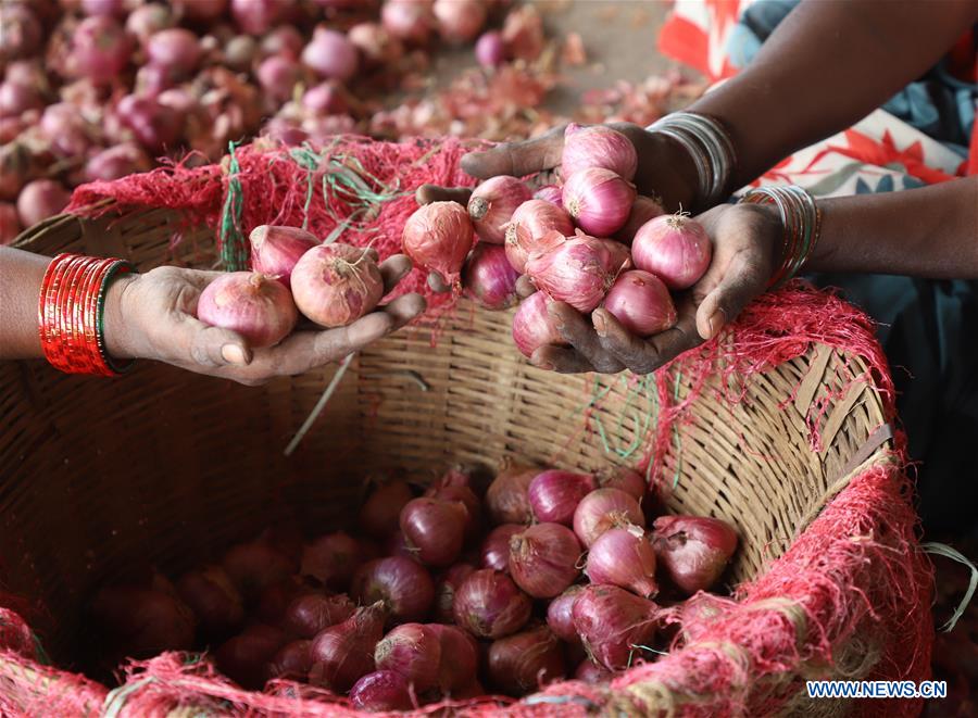 INDIA-BANGALORE-ONION PRICE-INCREASE