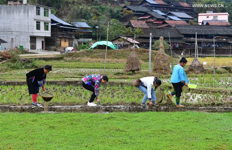 CHINA-GUANGXI-LIUZHOU-RIVER SNAIL RICE NOODLES-POVERTY ALLEVIATION (CN)