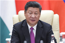 Xi Jinping: Innovation key strength for development