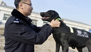 Police dogs allocated to travelling stations during Spring Festival in China