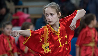 3rd Lithuanian Open Wushu Championship held in Vilnius