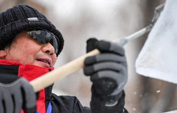 37th national ice sculpture competition opens in Harbin