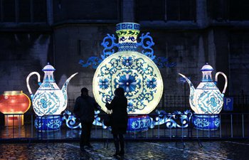 Chinese lanterns light up streets of Dinant in southern Belgium