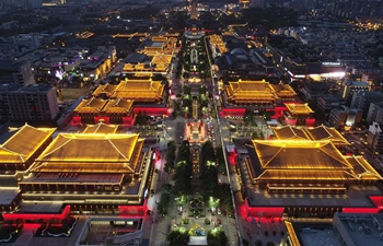 Night tour becomes new impetus to boost tourism of Xi'an, NW China