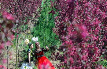 Spring scenery of Hutubi County, NW China's Xinjiang