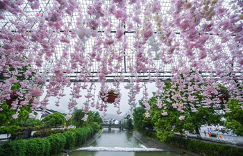 Flower-themed exhibition held at Longmen ancient town in China's Zhejiang