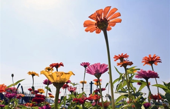 Scenery of Lianhuashan ecological tourism resort in Changchun, China's Jilin