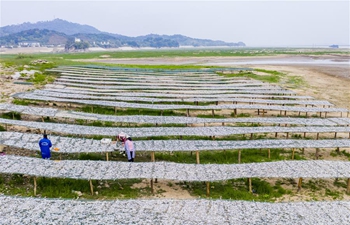 View of massive dried fish during harvest season in Duchang, China's Jiangxi