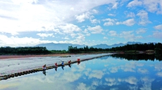 浙江仙居：夏日戲水