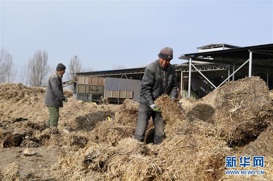 （在習(xí)近平新時代中國特色社會主義思想指引下——新時代新氣象新作為·鄉(xiāng)村振興戰(zhàn)略·圖文互動）（2）“與其放火，不如打包”——山西渾源秸稈綜合再利用見聞