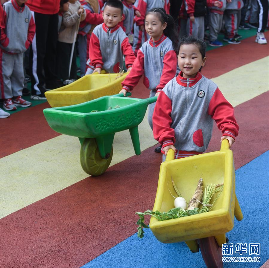 （教育）（2）校園趣味運動——“秋冬運糧忙”