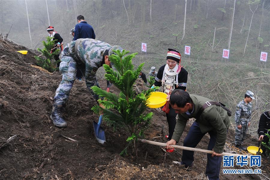 （圖文互動）（6）和平年代，離死神最近的人——南部戰(zhàn)區(qū)陸軍云南掃雷大隊(duì)邊境掃雷排爆記事