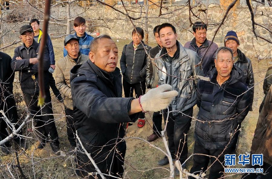 （新華全媒頭條·圖文互動）（8）鍛造領航復興的中流砥柱——寫在“不忘初心、牢記使命”主題教育即將啟動之際