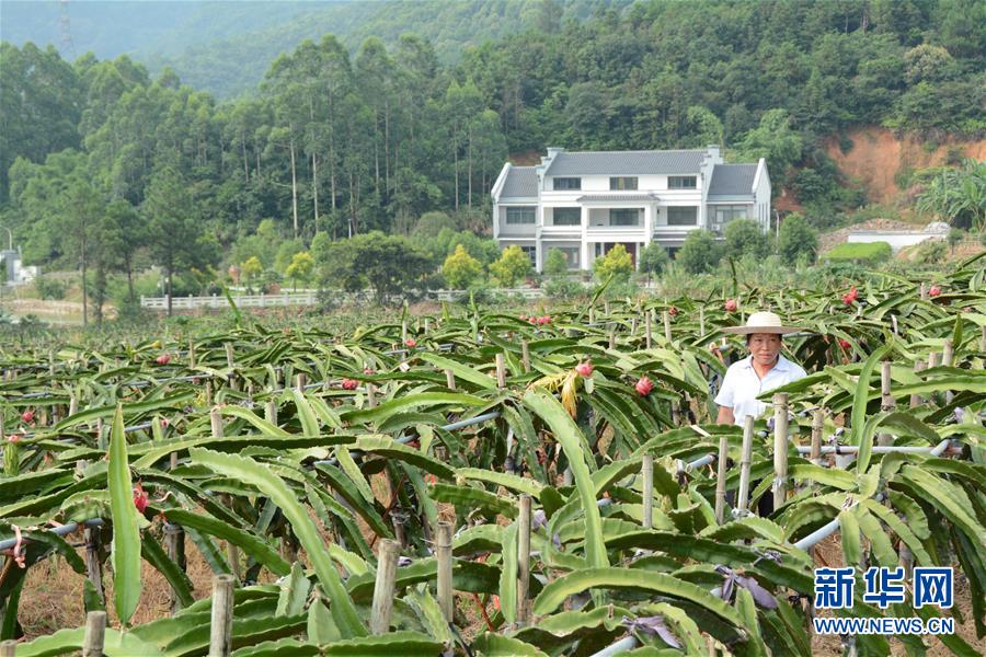 （在習近平新時代中國特色社會主義思想指引下——新時代新作為新篇章·總書記關(guān)心的百姓身邊事·圖文互動）（6）大污染變身“大寶藏”：治理畜禽糞污，他們這樣干！