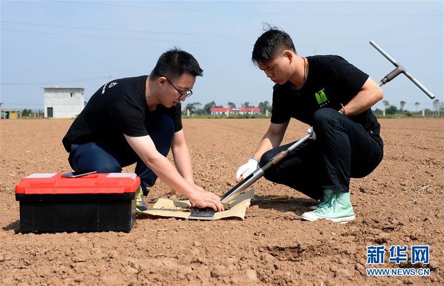 （在習(xí)近平新時代中國特色社會主義思想指引下——新時代新作為新篇章·總書記關(guān)心的百姓身邊事·圖文互動）（6）“農(nóng)”字頭照樣“大”作為——豐收時節(jié)看涉農(nóng)高校人才在希望的田野