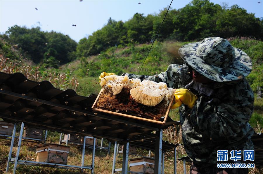 （新華全媒頭條·圖文互動）（4）永不歸來的“戰(zhàn)士”——追記倒在脫貧攻堅(jiān)一線的貴州沿河縣駐村第一書記文偉紅