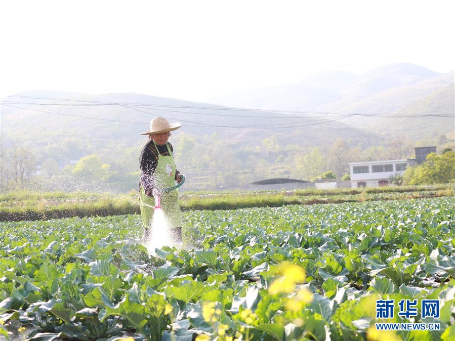 （決戰(zhàn)決勝脫貧攻堅·圖文互動）（3）逐項逐戶排查補齊脫貧攻堅“短板”——貴州晴隆縣扶貧一線工作見聞 