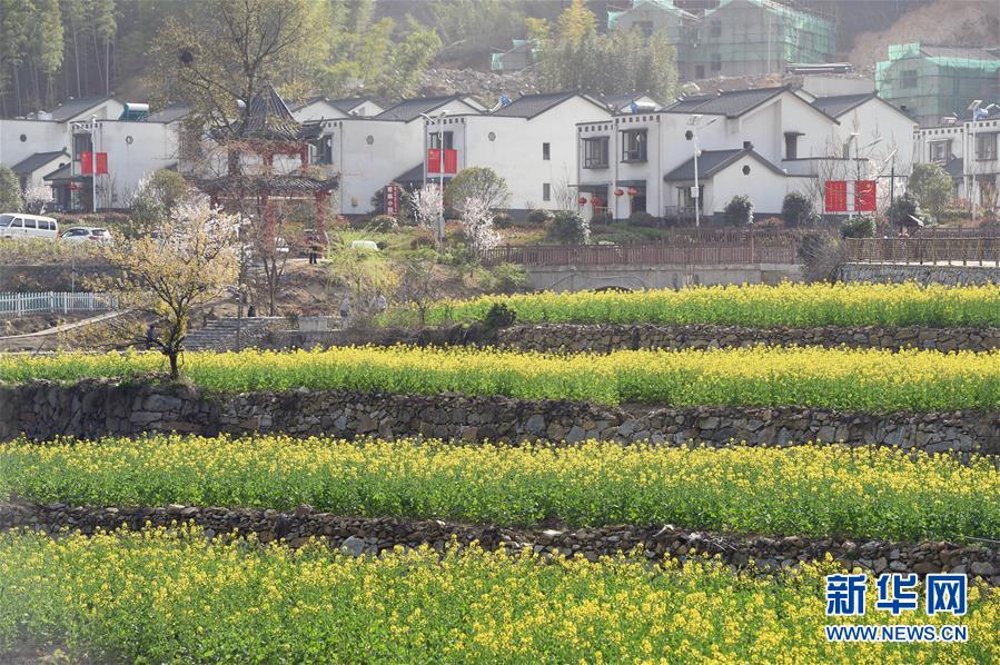 （新華全媒頭條·圖文互動）（1）紅土地上的“綠色減貧”決戰(zhàn)——大別山“將軍縣”金寨脫貧紀實